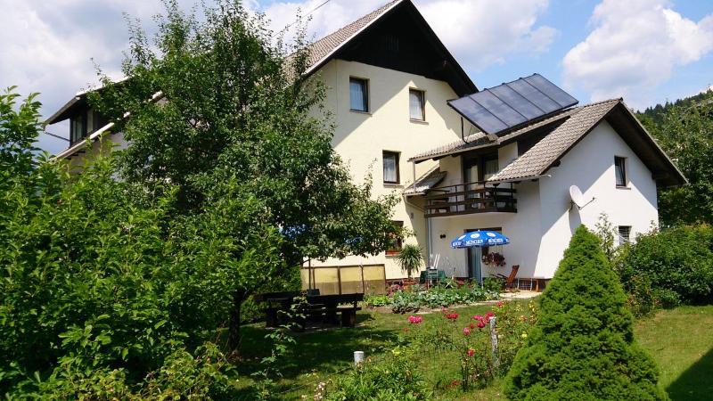 Apartments Pod Rodico Бохінська Бістріца Екстер'єр фото